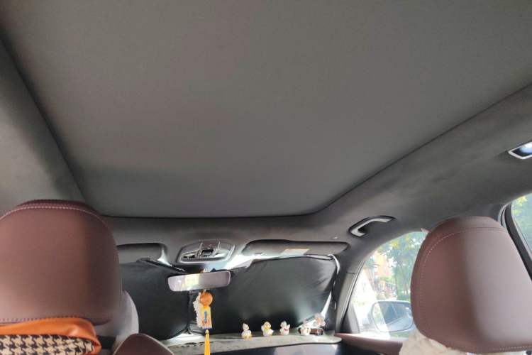 Used Geely Auto Monjaro L 2024 2.0TD High-Power Automatic Two-Wheel Drive Yunqi Version Headliner