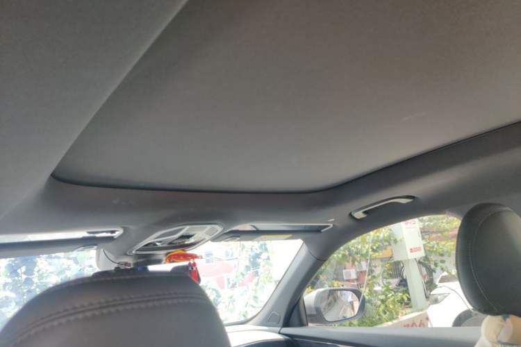 Used Geely Auto Monjaro L 2024 2.0TD DCT EVO Two-Wheel Drive Long-Range Version Headliner