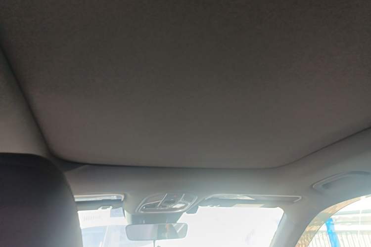 Used Geely Auto Monjaro L 2024 2.0TD DCT EVO Two-Wheel Drive Long-Range Version Headliner