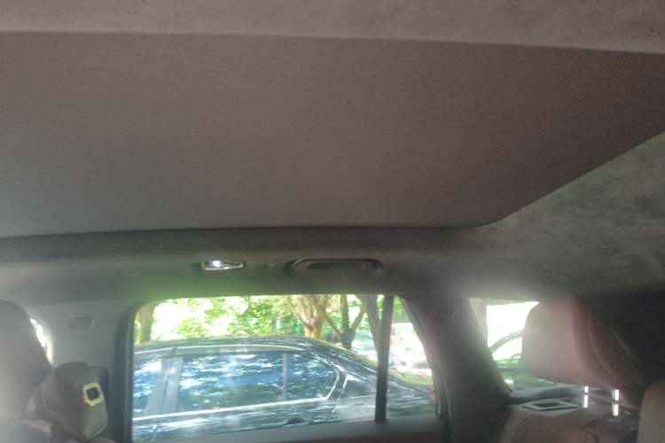 Used Geely Auto Monjaro L 2024 2.0TD High-Power Automatic Two-Wheel Drive Yunqi Version Headliner