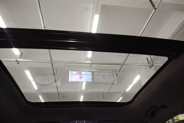 Used Geely Auto Monjaro L 2024 2.0TD High-Power Automatic Two-Wheel Drive Skyline Edition Headliner