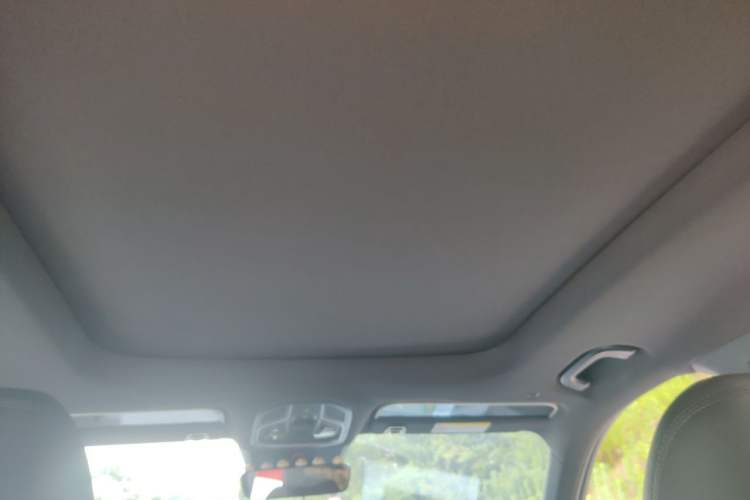 Used Geely Auto Monjaro L 2024 2.0TD DCT EVO Two-Wheel Drive Long-Range Version Headliner