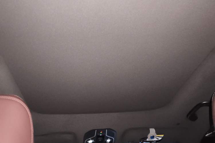 Used Geely Auto Monjaro L 2024 2.0TD High-Power Automatic Two-Wheel Drive Yunqi Version Headliner