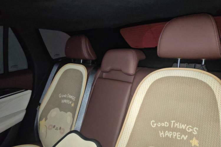 Used Geely Auto Monjaro L 2024 2.0TD High-Power Automatic Two-Wheel Drive Yunqi Version Headliner