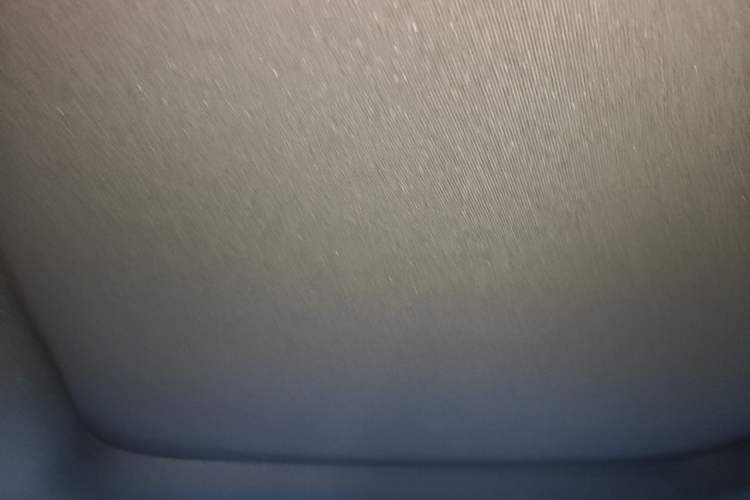 Used Geely Auto Monjaro L 2024 2.0TD DCT EVO Two-Wheel Drive Long-Range Version Headliner