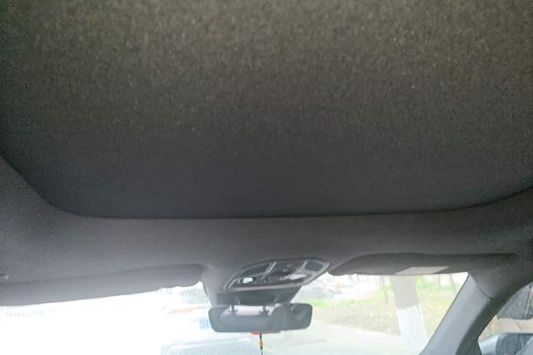 Used Geely Auto Monjaro L 2024 2.0TD High-Power Automatic Two-Wheel Drive Skyline Edition Headliner