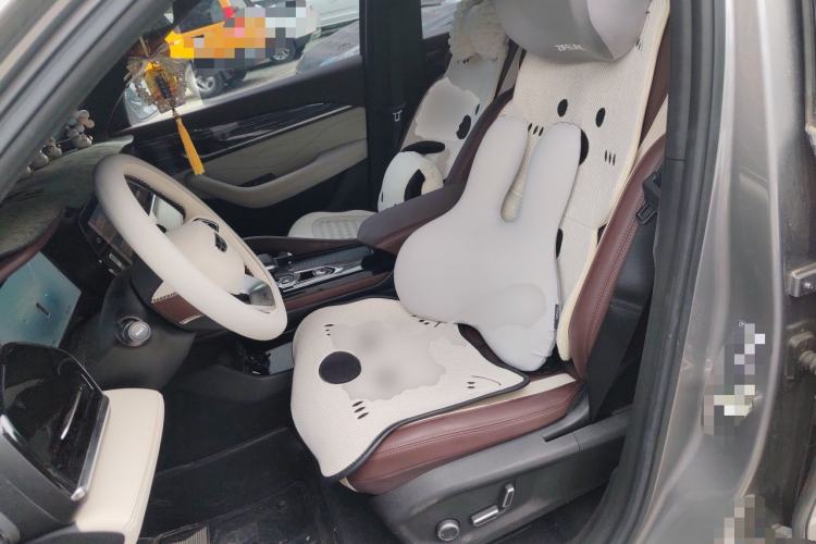 Used Geely Auto Monjaro L 2024 2.0TD High-Power Automatic Two-Wheel Drive Yunqi Version Left Front Seat