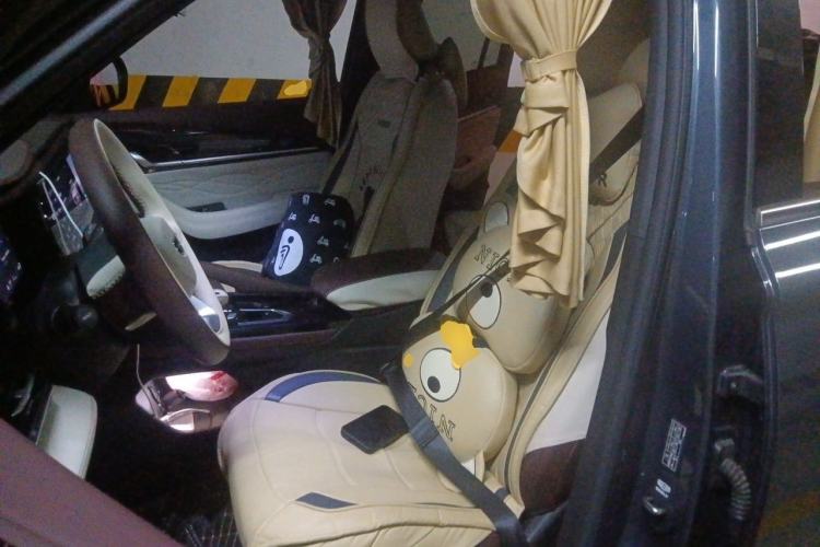 Used Geely Auto Monjaro L 2024 2.0TD High-Power Automatic Two-Wheel Drive Yunqi Version Left Front Seat