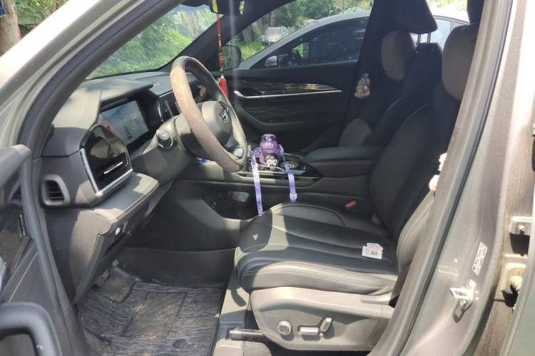 Used Geely Auto Monjaro L 2024 2.0TD DCT EVO Two-Wheel Drive Long-Range Version Left Front Seat