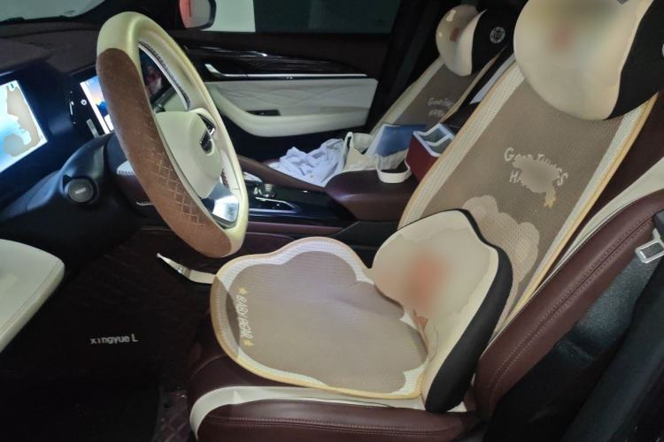 Used Geely Auto Monjaro L 2024 2.0TD High-Power Automatic Two-Wheel Drive Yunqi Version Left Front Seat