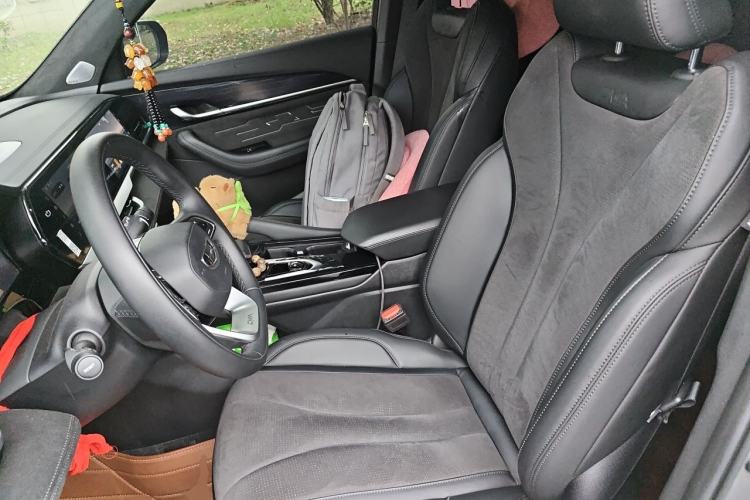 Used Geely Auto Monjaro L 2024 2.0TD High-Power Automatic Two-Wheel Drive Skyline Edition Left Front Seat