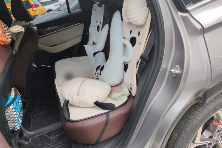 Used Geely Auto Monjaro L 2024 2.0TD High-Power Automatic Two-Wheel Drive Yunqi Version Left Rear Seat