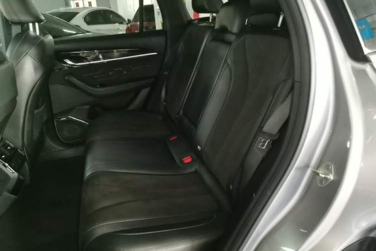 Used Geely Auto Monjaro L 2024 2.0TD High-Power Automatic Two-Wheel Drive Skyline Edition Left Rear Seat