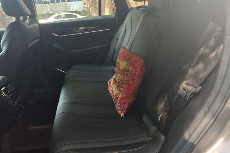 Used Geely Auto Monjaro L 2024 2.0TD DCT EVO Two-Wheel Drive Long-Range Version Left Rear Seat