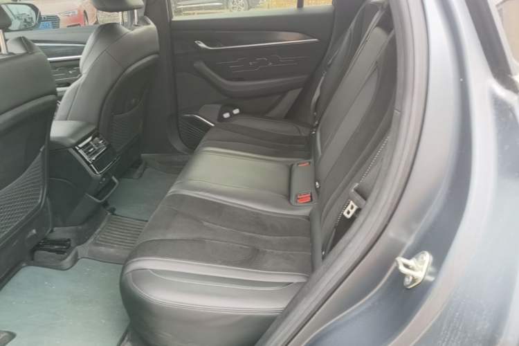 Used Geely Auto Monjaro L 2024 2.0TD High-Power Automatic Two-Wheel Drive Skyline Edition Left Rear Seat