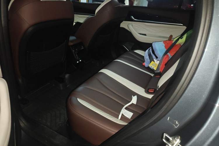 Used Geely Auto Monjaro L 2024 2.0TD High-Power Automatic Two-Wheel Drive Yunqi Version Left Rear Seat