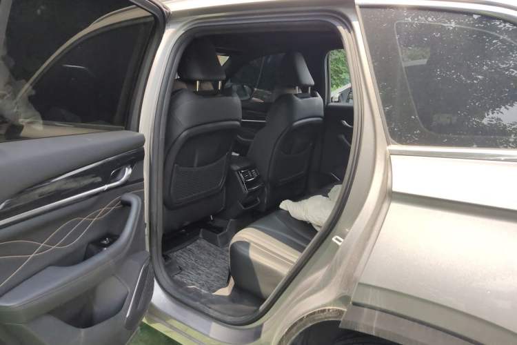Used Geely Auto Monjaro L 2024 2.0TD DCT EVO Two-Wheel Drive Long-Range Version Left Rear Seat