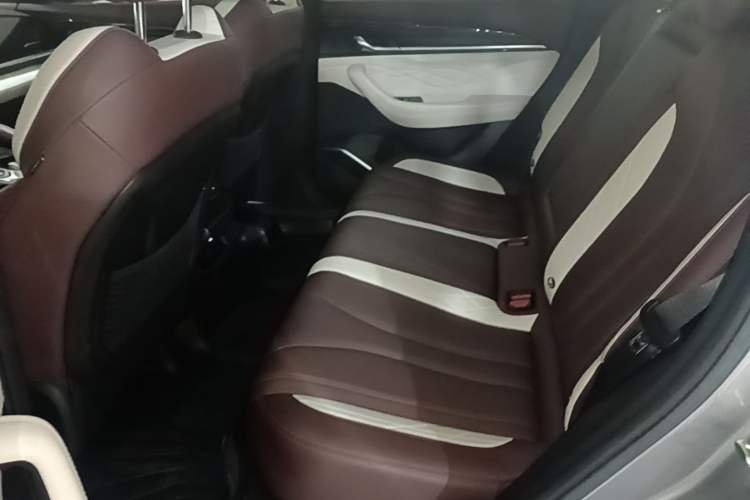 Used Geely Auto Monjaro L 2024 2.0TD High-Power Automatic Two-Wheel Drive Yunqi Version Left Rear Seat