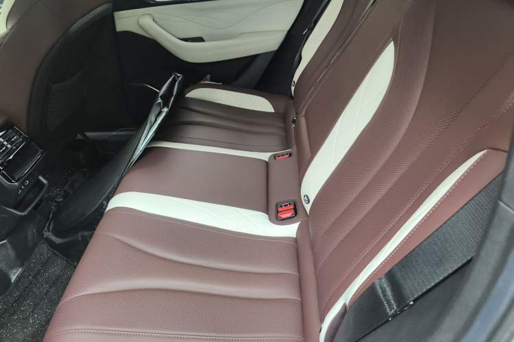 Used Geely Auto Monjaro L 2024 2.0TD High-Power Automatic Two-Wheel Drive Yunqi Version Left Rear Seat