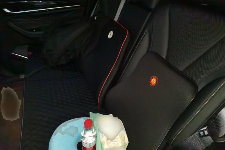 Used Geely Auto Monjaro L 2024 2.0TD DCT EVO Two-Wheel Drive Long-Range Version Left Rear Seat