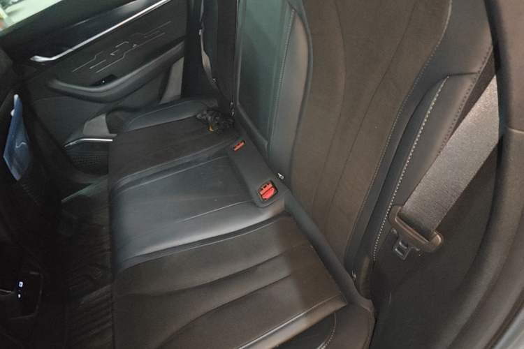 Used Geely Auto Monjaro L 2024 2.0TD High-Power Automatic Two-Wheel Drive Skyline Edition Left Rear Seat