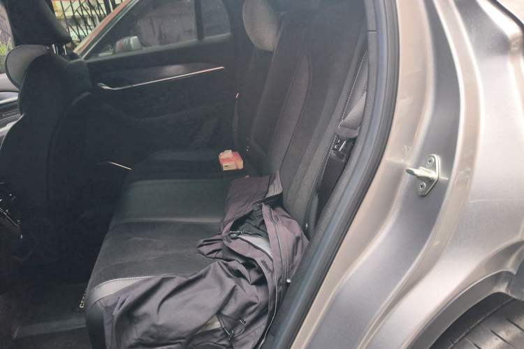 Used Geely Auto Monjaro L 2024 2.0TD High-Power Automatic Two-Wheel Drive Skyline Edition Left Rear Seat