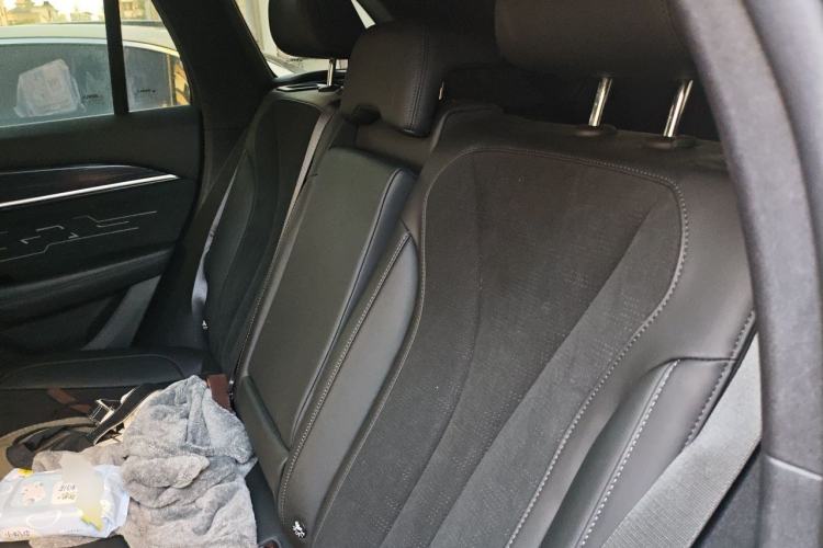 Used Geely Auto Monjaro L 2024 2.0TD High-Power Automatic Two-Wheel Drive Skyline Edition Left Rear Seat
