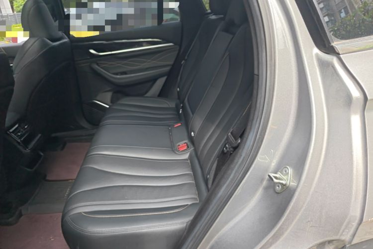 Used Geely Auto Monjaro L 2024 2.0TD DCT EVO Two-Wheel Drive Long-Range Version Left Rear Seat