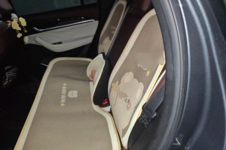 Used Geely Auto Monjaro L 2024 2.0TD High-Power Automatic Two-Wheel Drive Yunqi Version Left Rear Seat