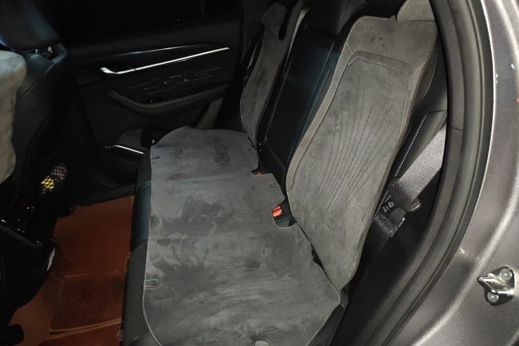Used Geely Auto Monjaro L 2024 2.0TD High-Power Automatic Two-Wheel Drive Skyline Edition Left Rear Seat