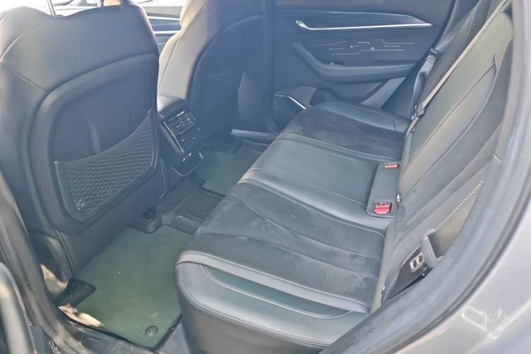Used Geely Auto Monjaro L 2024 2.0TD High-Power Automatic Two-Wheel Drive Skyline Edition Left Rear Seat