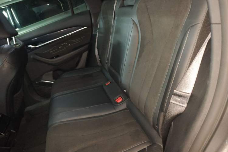 Used Geely Auto Monjaro L 2024 2.0TD High-Power Automatic Two-Wheel Drive Skyline Edition Left Rear Seat