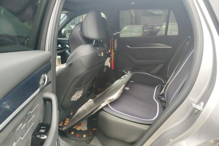 Used Geely Auto Monjaro L 2024 2.0TD High-Power Automatic Two-Wheel Drive Skyline Edition Left Rear Seat