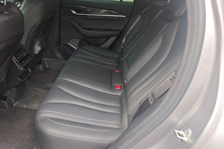 Used Geely Auto Monjaro L 2024 2.0TD DCT EVO Two-Wheel Drive Long-Range Version Left Rear Seat