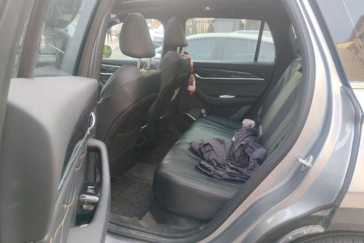 Used Geely Auto Monjaro L 2024 2.0TD DCT EVO Two-Wheel Drive Long-Range Version Left Rear Seat