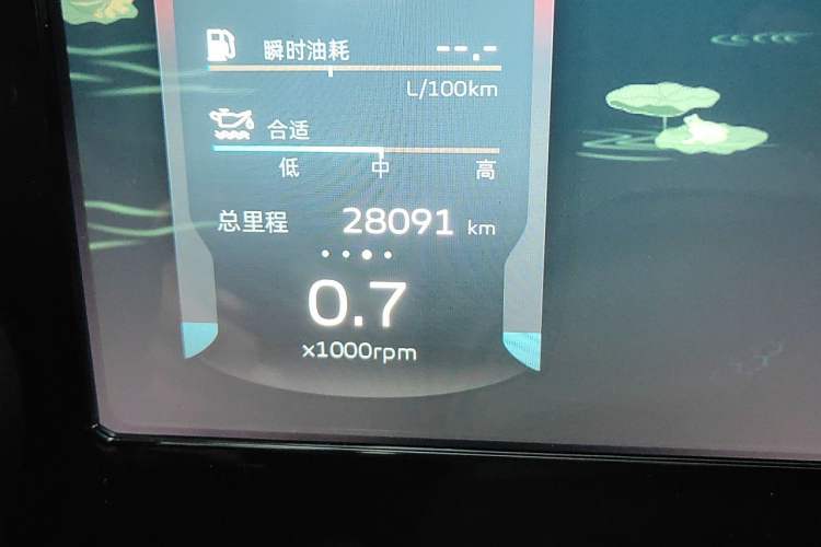 Used Geely Auto Monjaro L 2024 2.0TD DCT EVO Two-Wheel Drive Long-Range Version Odometer Close Up