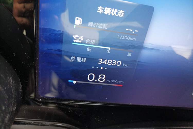 Used Geely Auto Monjaro L 2024 2.0TD DCT EVO Two-Wheel Drive Prestige Version Odometer Close Up