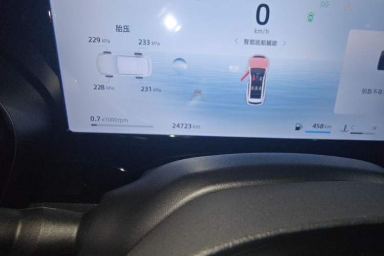 Used Geely Auto Monjaro L 2024 2.0TD High-Power Automatic Two-Wheel Drive Skyline Edition Odometer Close Up