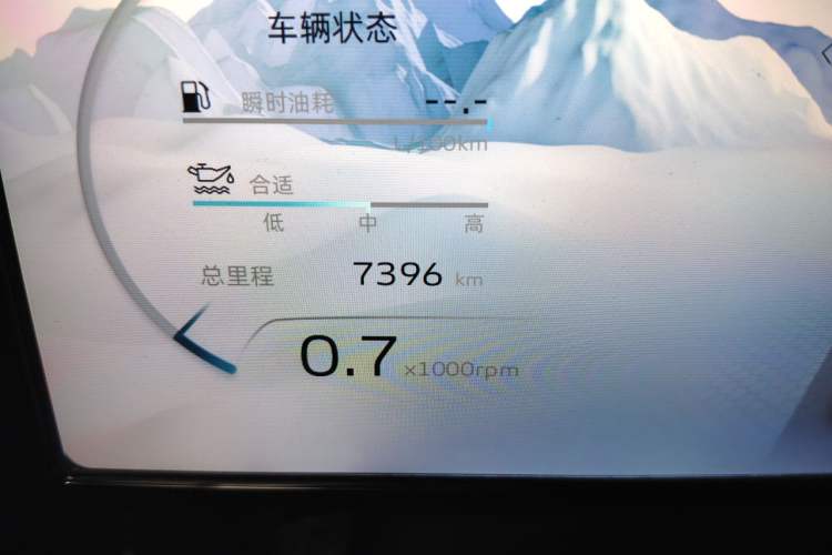 Used Geely Auto Monjaro L 2024 2.0TD DCT EVO Two-Wheel Drive Long-Range Version Odometer Close Up