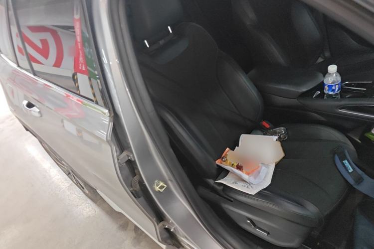 Used Geely Auto Monjaro L 2024 2.0TD High-Power Automatic Two-Wheel Drive Skyline Edition Right Front Seat