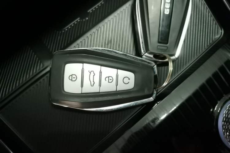 Used Geely Auto Monjaro L 2024 2.0TD High-Power Automatic Two-Wheel Drive Skyline Edition Vehicle Key