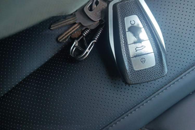 Used Geely Auto Monjaro L 2024 2.0TD DCT EVO Two-Wheel Drive Long-Range Version Vehicle Key