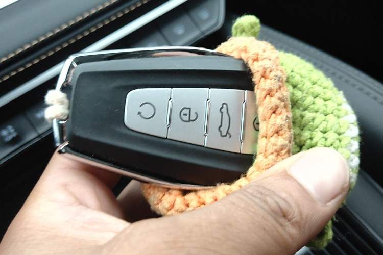 Used Geely Auto Monjaro L 2024 2.0TD DCT EVO Two-Wheel Drive Long-Range Version Vehicle Key
