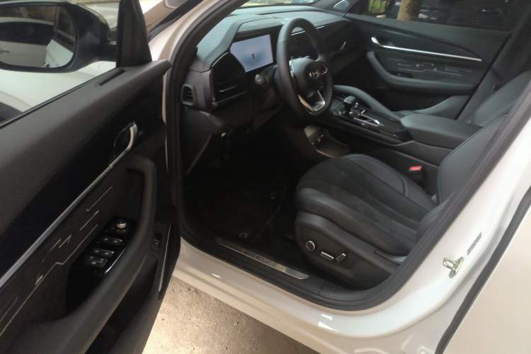 Used Geely Auto Monjaro L 2024 2.0TD High-Power Automatic Two-Wheel Drive Skyline Edition Driver Seat