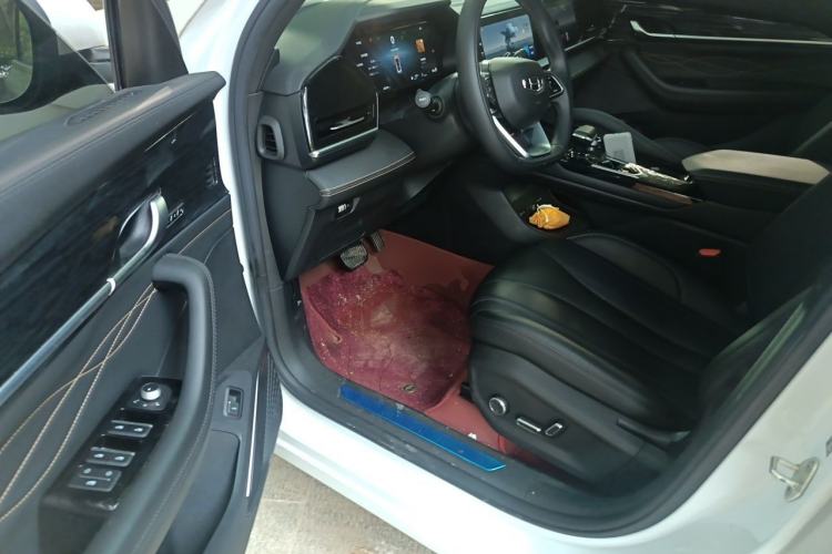 Used Geely Auto Monjaro L 2024 2.0TD DCT EVO Two-Wheel Drive Long-Range Version Driver Seat