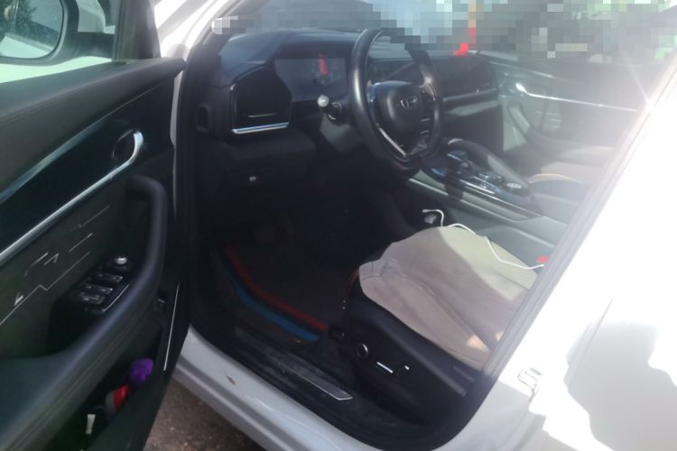 Used Geely Auto Monjaro L 2024 2.0TD High-Power Automatic Two-Wheel Drive Yunqi Version Driver Seat