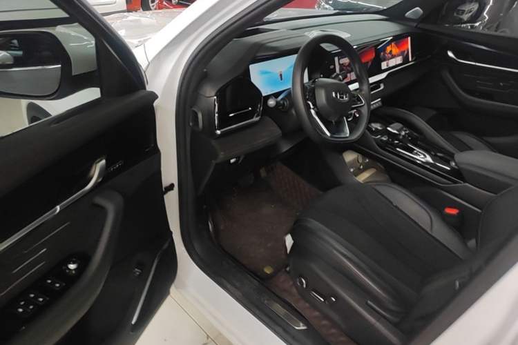Used Geely Auto Monjaro L 2024 2.0TD High-Power Automatic Two-Wheel Drive Skyline Edition Driver Seat