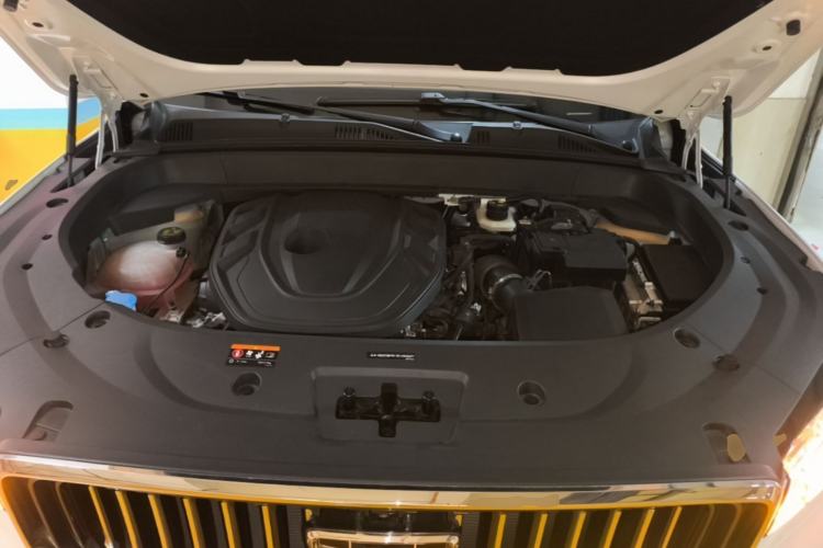 Used Geely Auto Monjaro L 2024 2.0TD High-Power Automatic Two-Wheel Drive Yunqi Version Engine Bay