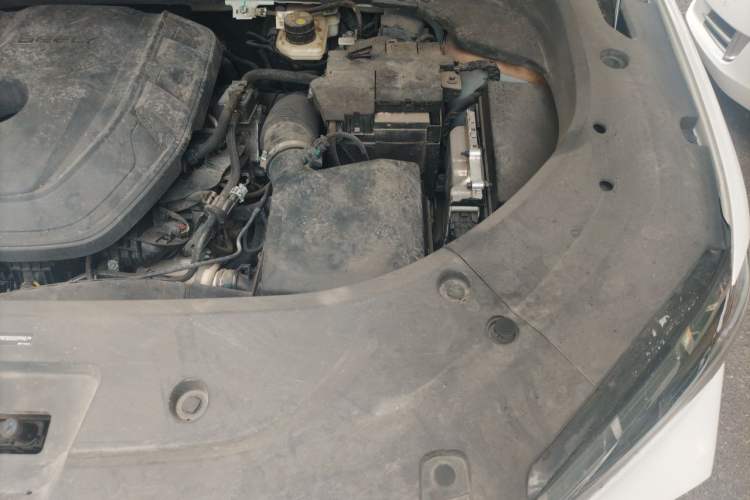 Used Geely Auto Monjaro L 2024 2.0TD DCT EVO Two-Wheel Drive Prestige Version Engine Bay Left