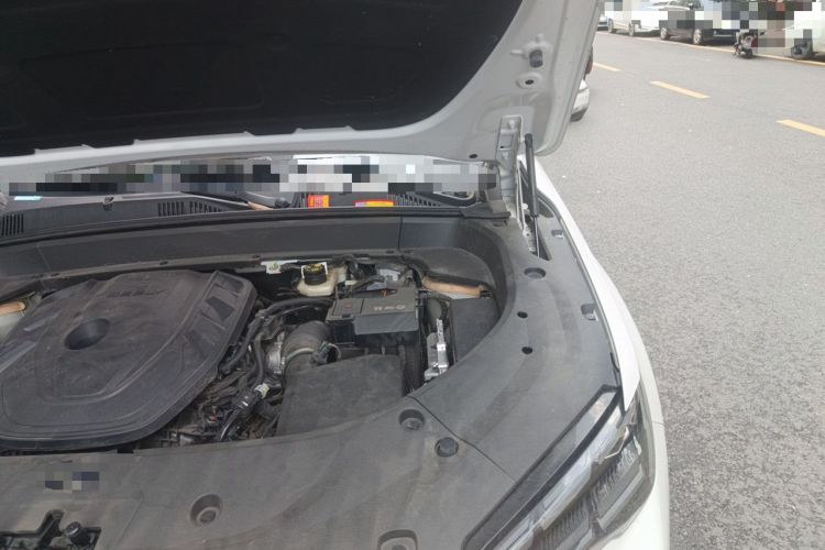 Used Geely Auto Monjaro L 2024 2.0TD High-Power Automatic Two-Wheel Drive Yunqi Version Engine Bay Left